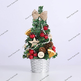 Cây Thông Nhí TNM22 Cây 20cm Trang Trí Giáng Sinh Cây Thông Noel