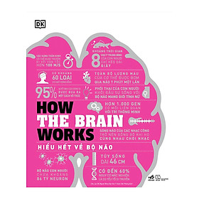 How The Brain Works - Hiểu Hết Về Bộ Não (Bìa Cứng)