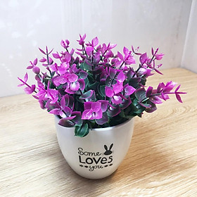 Mua Hoa giả-Chậu hoa lá trang trí Some Loves You cao cấp để bàn  kệ sách  góc học tập  decor