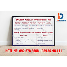 Tranh Bảng Phân Loại U Nang Buồng Trứng Theo IOTA
