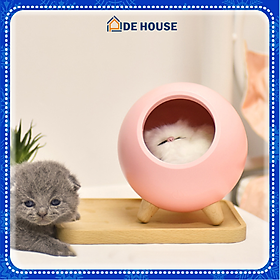 Mua Đèn ngủ để bàn mèo con dễ thương có sạc tích điện trang trí phòng ngủ - Hàng Chính hãng