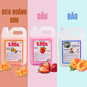 Sữa Rửa Tay S.P.Ca 5 Lít - Hương Đào Trắng