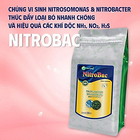 Hấp thụ khí độc ao tôm NITROBAC