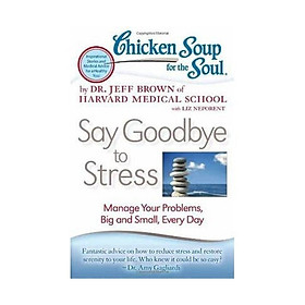 [Download Sách] Chicken Soup for the Soul: Say Goodbye to Stress: Manage Your Problems, Big and Small, Every Day