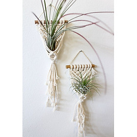 Mua Set 2 dây tết macrame handmade treo cây không khí hoặc đá phong thủy trang trí tường