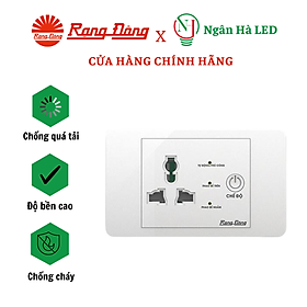 Ổ cắm máy bơm an toàn Rạng Đông Model: OC03.MB 16A