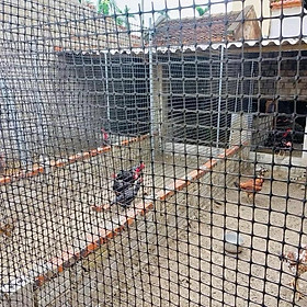 Mua Lưới rào gà cao 1 5 mét dài 50 mét