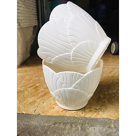 Chậu trồng cây dáng sò siêu đẹp size 23x18 cm