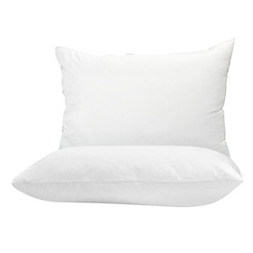 Mua Combo 2 Ruột Gối Gòn Bi Cao Cấp (40 x 60 cm) - GDHN Loại Tốt