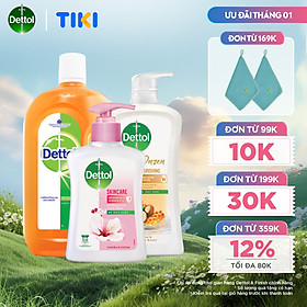 Combo chăm sóc gia đình: Dung dịch diệt khuẩn đa năng 1L + Sữa tắm kháng khuẩn dưỡng thể 950g + Nước rửa tay kháng khuẩn chăm sóc da 250g