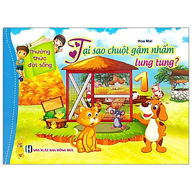 Hình ảnh Thường Thức Đời Sống - Tại Sao Chuột Gặm Nhắm Lung Tung