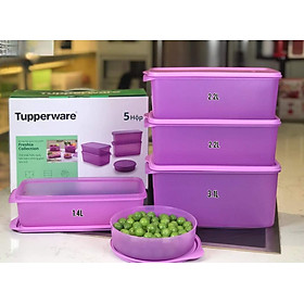 Bộ hộp trữ mát Freshia Collection Purple  5 hộp - Tupperware chính hãng