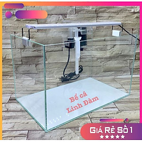 Bể Cá 40cm (40*24*25cm) Kính Siêu Trong 5 Mặt , dán giấu keo, mài vi tính- Bể Cá Cảnh Thủy Sinh