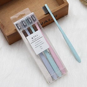 Mua Set 4 Bàn Chải Lúa Mạch Có Hộp Đựng Cao Cấp