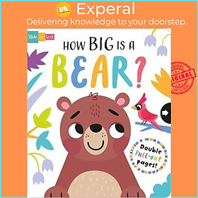 Sách - How Big is a Bear? by Lisa Regan (UK edition, paperback)