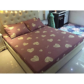 Sốc xả kho thanh lý hơn 100 mẫu ga gối poly cotton