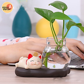 Mua Chậu Trồng Cây Thủy Sinh Mini  Mèo May Mắn Kèm Bình Thủy Sinh Trồng Cây Mini Để Bàn Làm Việc  Mèo Thần Tài Mini