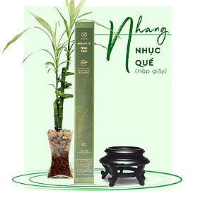 Mua Nhang cây dược liệu Quế sạch Herbio - Hương thơm giúp thông mũi  tĩnh não  an thần  ít khói - An toàn dùng trong gia đình - Hộp giấy 90 cây x 40cm