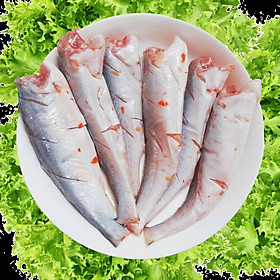 Cá Đù 1 Nắng