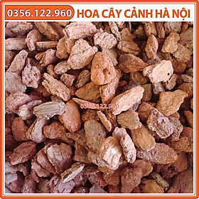 Mua Vỏ thông mài cạnh size 4x5cm rải chậu cây cảnh  rải sân vườn - Gói 1 kg - Shop hoa cây cảnh Hà Nội