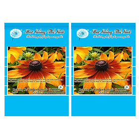 50h Hạt Giống Hoa Cúc Tâm Đen Rudbeckia Kép - GLORIOSA Mặt Trời (Rudbeckia)