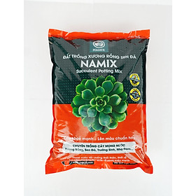 Mua Đất trồng xương rồng sen đá Namix (Succulents Potting Mix)