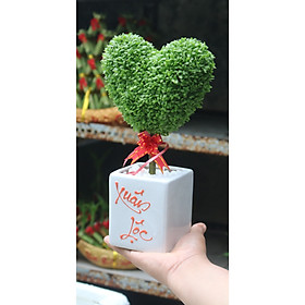 Cây quả cầu May Mắn hình trái tím