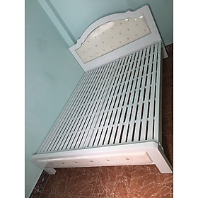 Mua Giường sắt ngủ đẹp cao cấp 5x10 _LGk555-14