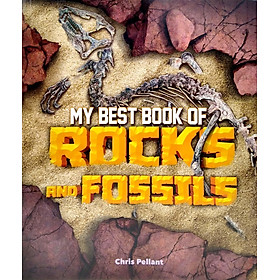 My Best Book Of Rocks And Fossils