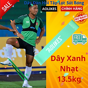Dây mini Band, Dây cao su kháng lực Aolikes tập chân mông, tại đá bóng sút manh AL3601 3601 - Chính Hãng