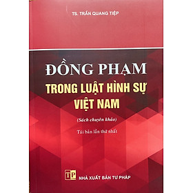 Hình ảnh Đồng Phạm Trong Luật Hình Sự Việt Nam