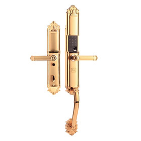 Mua Khóa vân tay tân cổ đại sảnh DEMAX SL821 Gold