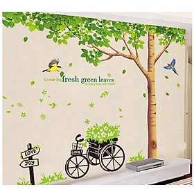 Decal Dán Tường Big Tree 1098 (Size Lớn) 