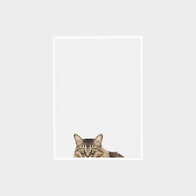 Tranh Trang Trí Treo Tường 40X60 Catsy