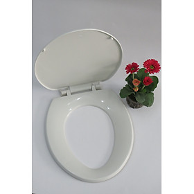 Mua Nắp bồn cầu 2 khối nhựa trắng (rơi tự do) phù hợp mọi loại cầu