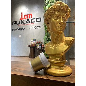 Mua Sơn dát vàng PUKACO