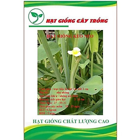 Hạt giống kèo nèo(rau tai tượng) CT65 - Gói 0.1gram