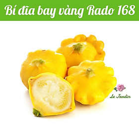 Hạt giống bí ngòi đĩa bay vàng Rado 168 gói 1gr