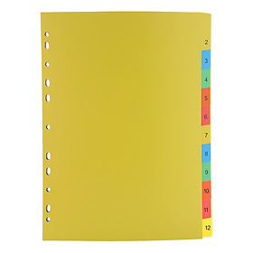 Phân Trang Nhựa 12 Số Double A