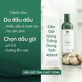 Dầu Gội Đầu Weilaiya - Giúp Mọc Tóc - Giảm Tóc Rụng/Gàu/Dầu/Khô- Chai Lớn 400ml