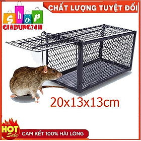 Bẫy chuột lồng sắt cỡ nhỏ 20x13x13cm -hàng sắt Nam Đinh Có thể tái sử dụng