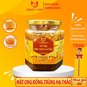 Mật Ong Ngâm Đông Trùng Hạ Thảo 380ml/lọ Golden Herb