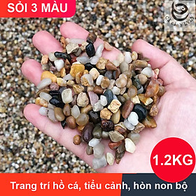 Sỏi suối 3 màu trang trí bể cá, hồ thủy sinh, tiểu cảnh, cây cảnh, chậu sen đá, xương rồng, hòn non bộ, lọc nước hồ cá ( size nhỡ)