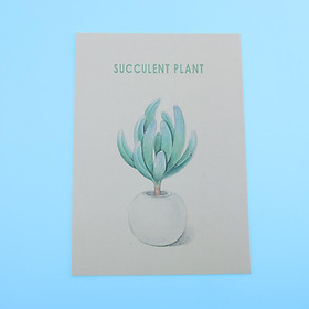Photography Backgroud Tropical Plant Leaves for Studio Photographic Party - 6 Choices