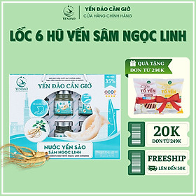 Yến Đảo - Hũ Yến Sào Sâm Ngọc Linh Hỗ Trợ Bổ Phổi, Bổ Huyết, Tăng Cường Sức Đề Kháng 6 Hộp 70ml