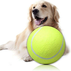 Quả bóng tennis khổng lồ, đồ chơi thú cưng, chữ ký 24cm Mega Jumbo Grande bền và hữu ích bóng quần tennis