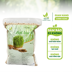 Mua Hạt giống cỏ lúa mì Viet Healthy Túi 3kg