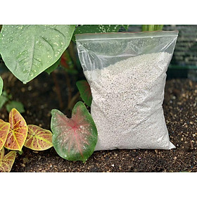Mua Đá ferlite đá Trân Chậu bao 500g