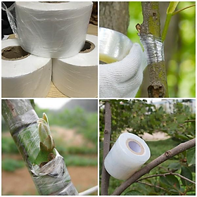 Mua Giấy Ghép Cây Tự Hủy rộng 5cm - BĂNG KEO GHÉP CÂY GIÚP BẢO VỆ MỐI GHÉP-BĂNG GHÉP CÂY  MÀNG GHÉP CÂY  DÂY QUẤN MỐI GHÉP