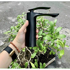 Mua Vòi Rửa Mặt Lavabo Nóng Lạnh Cao Cấp Sơn Tĩnh Điện Đen Inox 304  Phù Hợp Dùng Cho Mọi Chậu Rửa  Tặng Kèm Bộ Dây Cấp Nước Nóng Lạnh 40 cm- KG Hàng Chính Hãng
